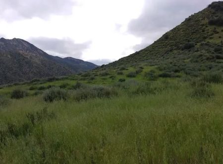 Sespe Camp