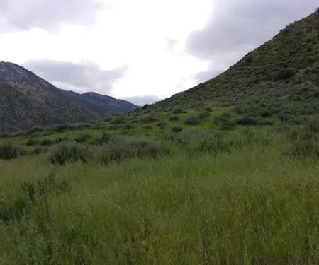 Sespe Camp