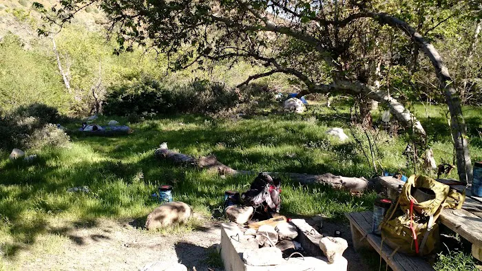 Sespe Camp Picture 3
