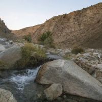 Sespe Hot Springs Palm Camp ico