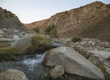 Sespe Hot Springs Palm Camp