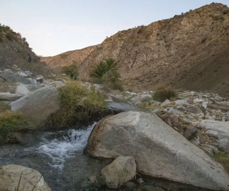 Sespe Hot Springs Palm Camp