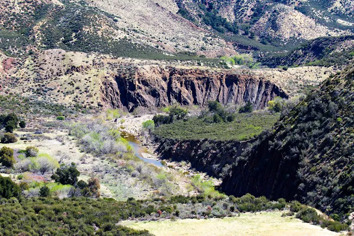 Sespe Hot Springs Palm Camp Picture 4