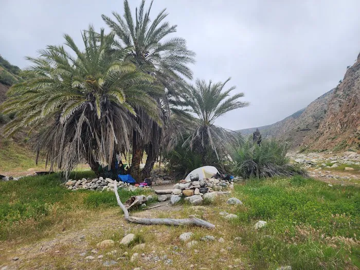 Sespe Hot Springs Palm Camp Picture 5