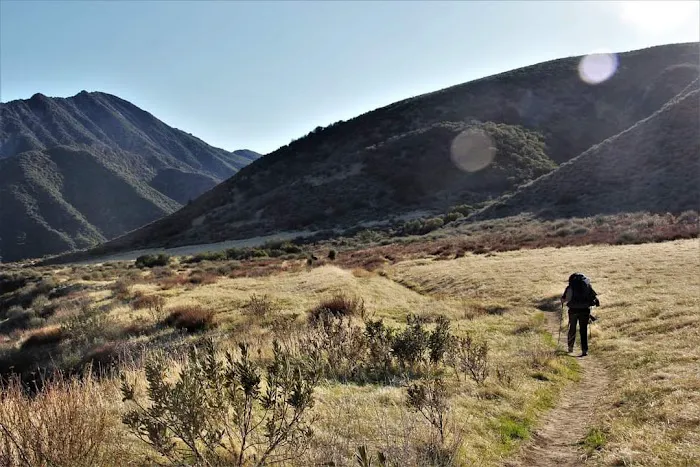 Sespe Hot Springs Palm Camp Picture 7