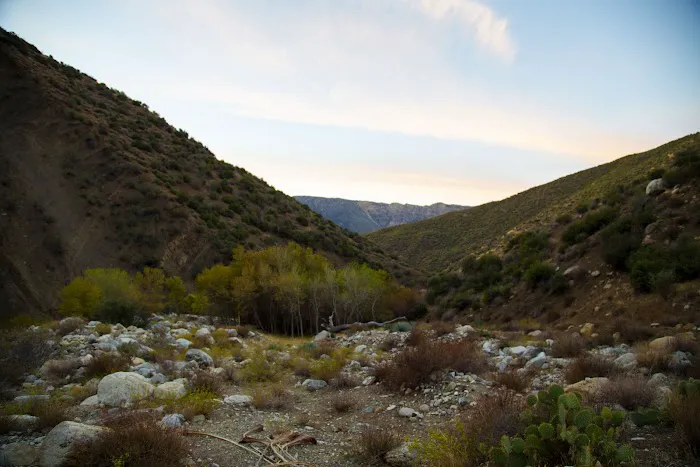 Sespe Hot Springs Palm Camp Picture 9