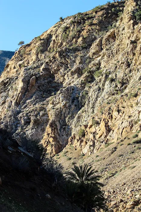 Sespe Hot Springs Palm Camp Picture 10