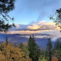 Twin Pines Campground ico