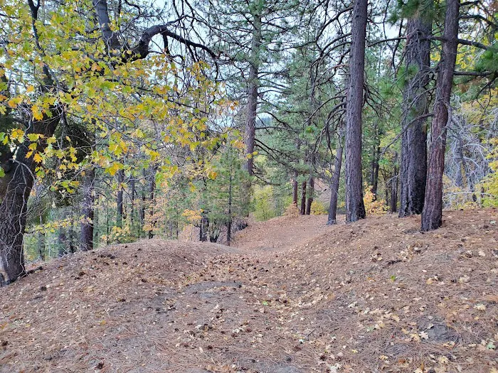 Twin Pines Campground Picture 5