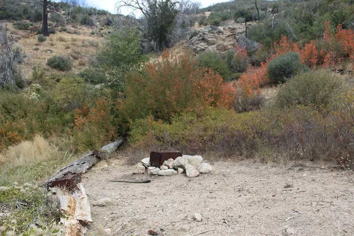 Little Mutau Campground Picture 1