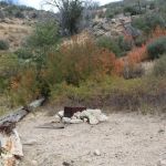 Little Mutau Campground