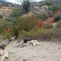 Little Mutau Campground ico