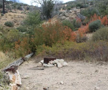 Little Mutau Campground