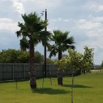 Atascosa RV Park
