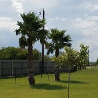Atascosa RV Park ico