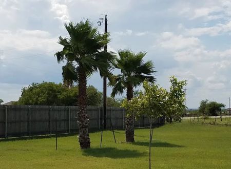 Atascosa RV Park