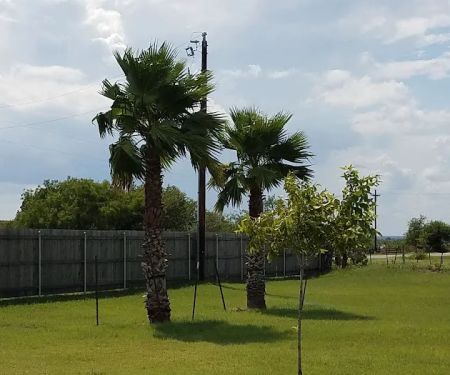 Atascosa RV Park