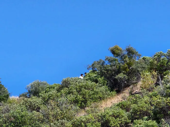 Los Alamos Campground Picture 6
