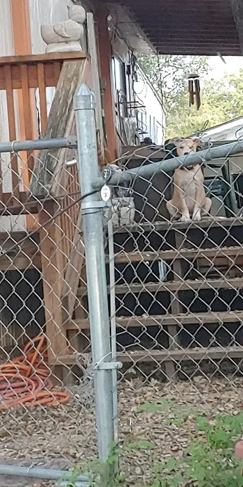 San Pedro Mobile Home Park Picture 9