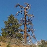 Dutchman Campground ico