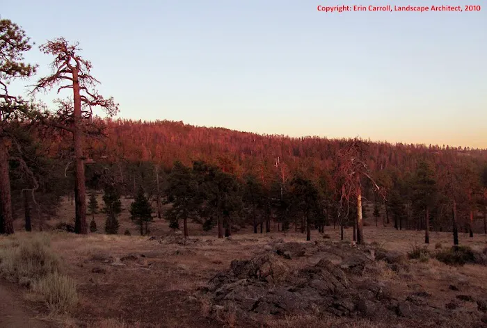 Dutchman Campground Picture 4