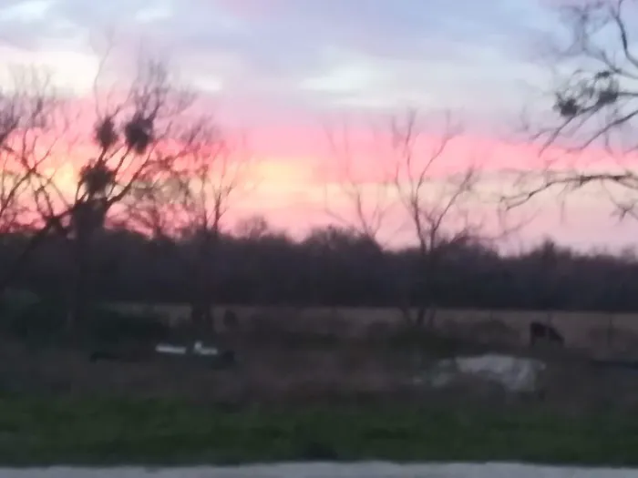 Rock Knoll RV park Picture 6