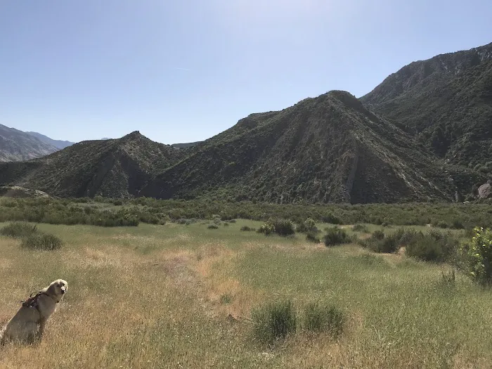 Oak Flat Camp Picture 2