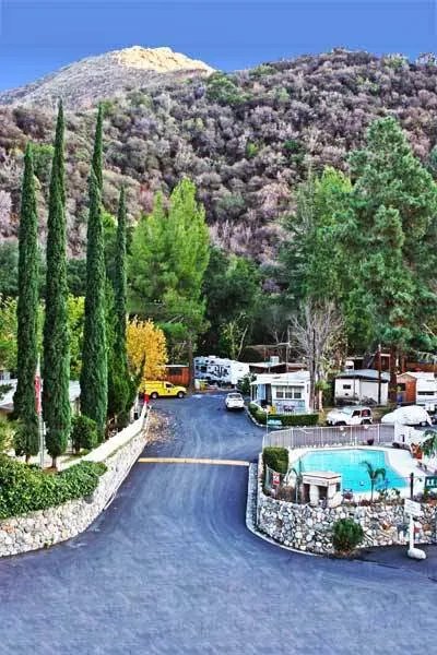 Camp Williams Resort Picture 3