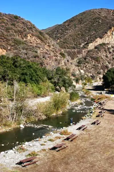 Camp Williams Resort Picture 4