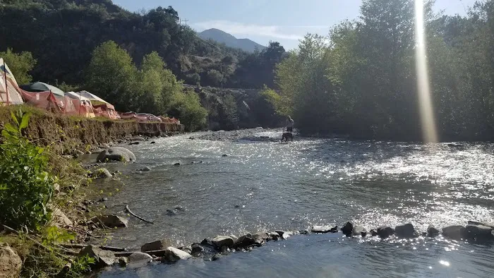 Camp Williams Resort Picture 5