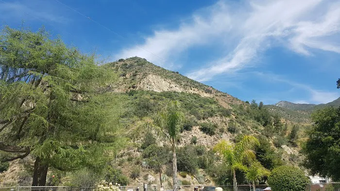 Camp Williams Resort Picture 8
