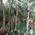 Castroville RV Park