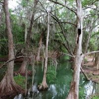 Castroville RV Park ico