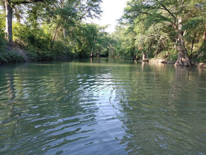 Castroville RV Park Picture 4
