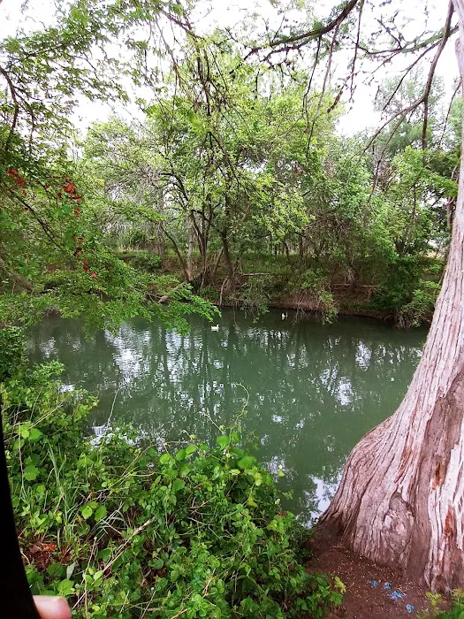 Castroville RV Park Picture 8