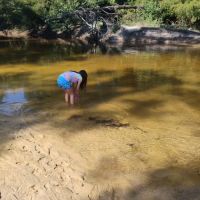 YaYa's River Retreat ico