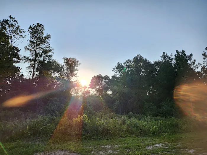 The Backyard at Styx Picture 4