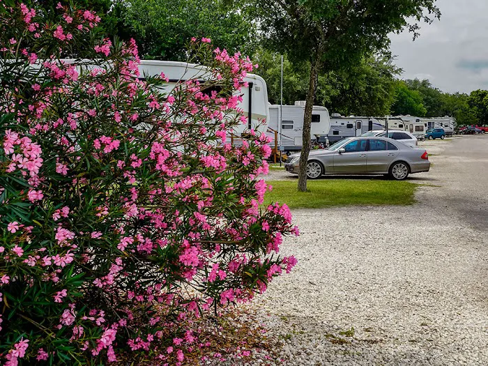 Alamo Fiesta RV Resort Picture 6