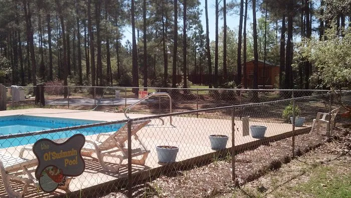 Jellystone Park™ Alabama Gulf Coast Picture 3