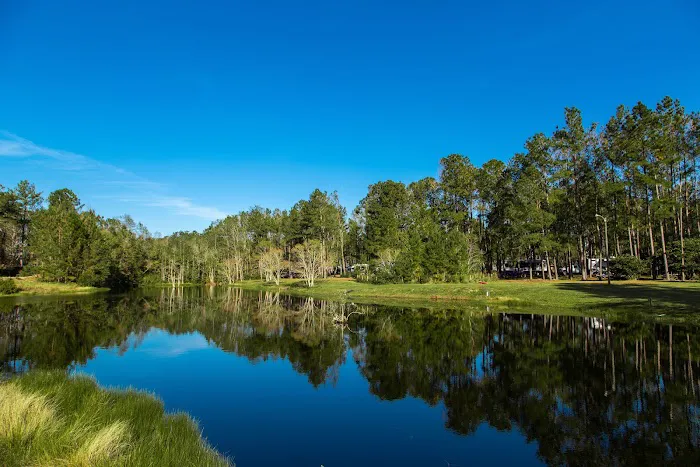 Jellystone Park™ Alabama Gulf Coast Picture 4