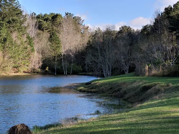 Jellystone Park™ Alabama Gulf Coast Picture 5