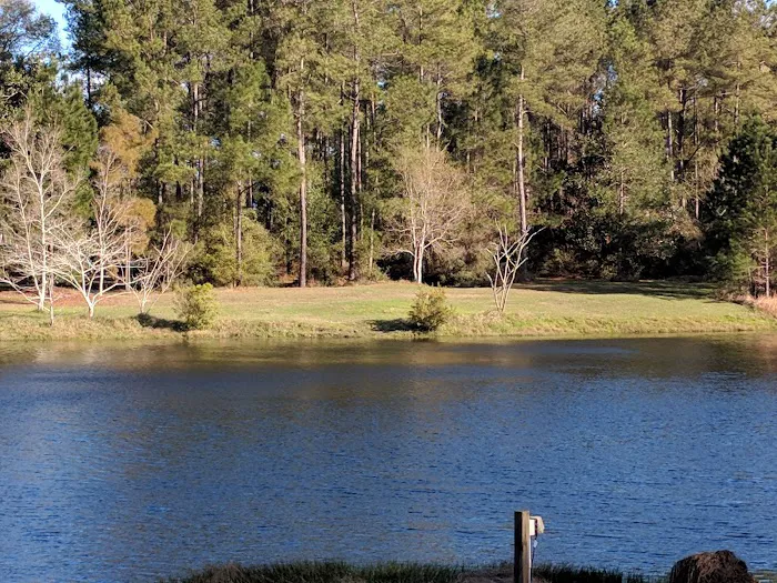 Jellystone Park™ Alabama Gulf Coast Picture 9