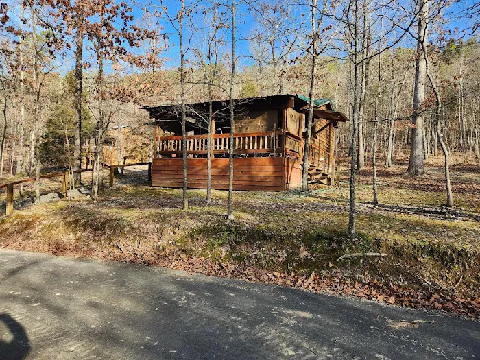 Screaming Eagle Cabins Picture 3