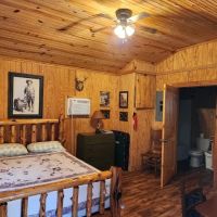Screaming Eagle Cabins ico