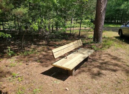Camp High Point--Conifer Area Properties
