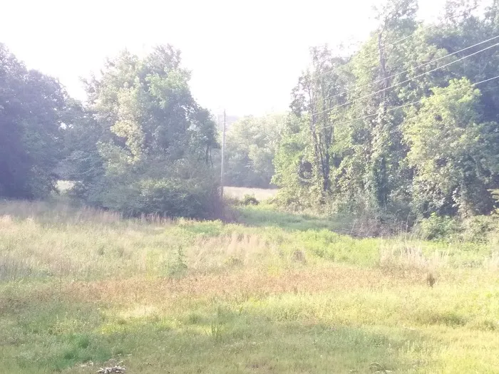 Camp High Point--Conifer Area Properties Picture 4