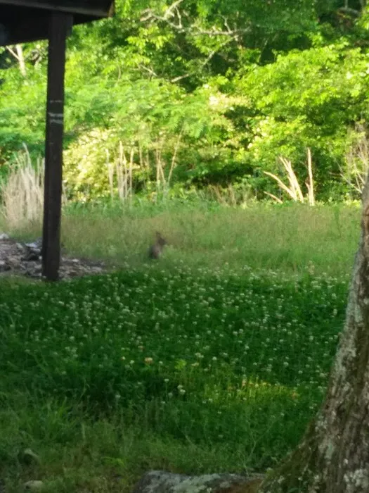 Camp High Point--Conifer Area Properties Picture 2