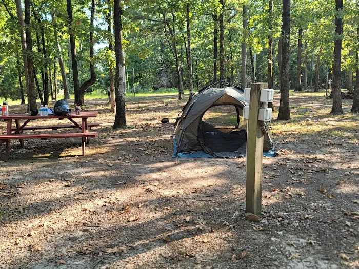 CMA - Iron Mountain Camp & Cabins Picture 1