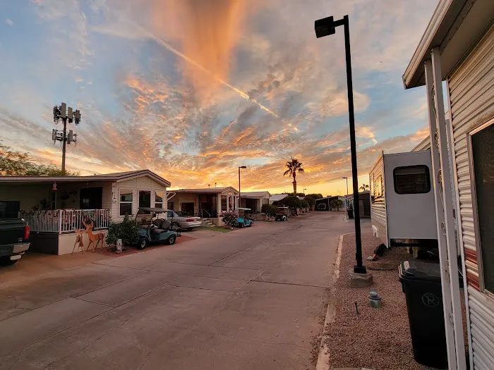 Mesa Regal RV Park & Resort Picture 2