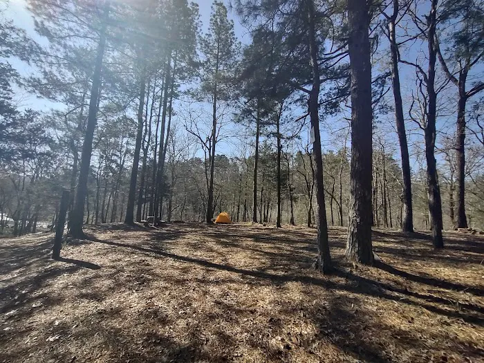 Fancy Hill Campground Picture 3